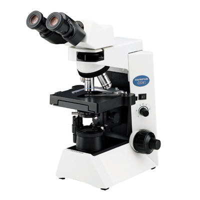 免疫印迹检测试剂